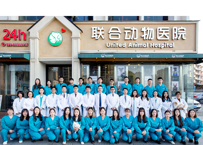 武汉联合动物医院