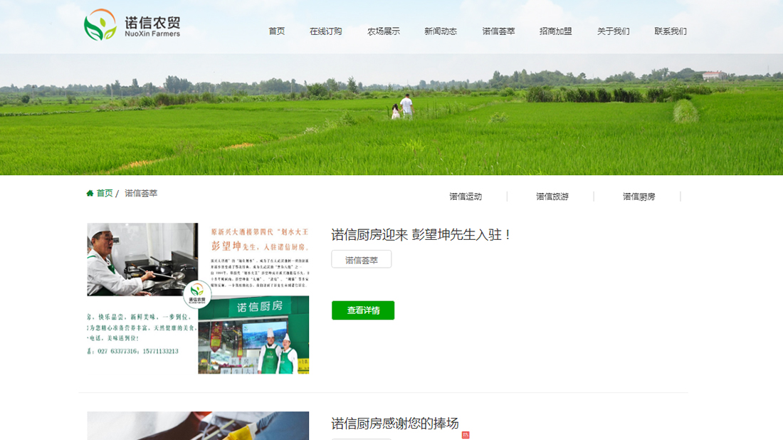 农副产品/商业服务网站案例