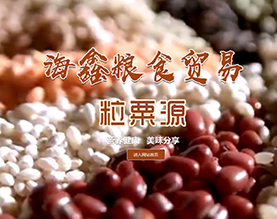 桦南县海鑫粮食贸易有限公司