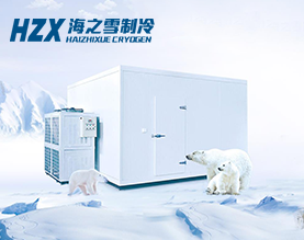 广西南宁海之雪制冷设备有限公司