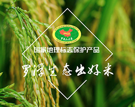 惠州伴永康粮油食品有限公司