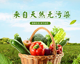 贵州金黔地生态农业有限公司