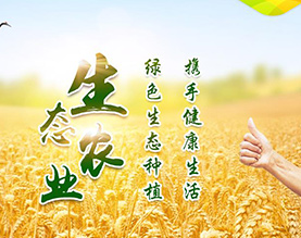 通榆县新洋丰现代农业服务有限公司