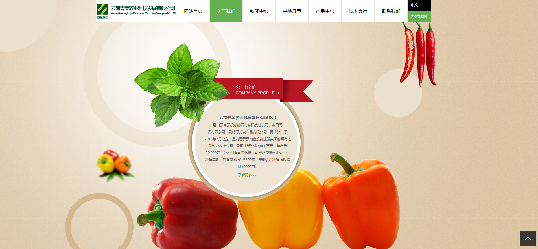 云南青美农业科技发展有限公司 