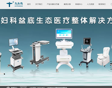 武汉市九头鸟医疗仪器开发有限公司