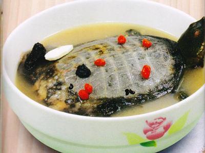 甲鱼汤做法