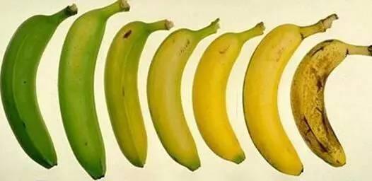 香蕉催熟