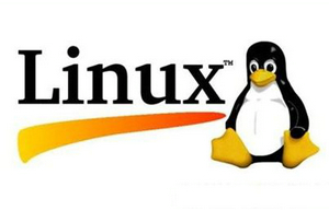 你了解linux运维工程师吗